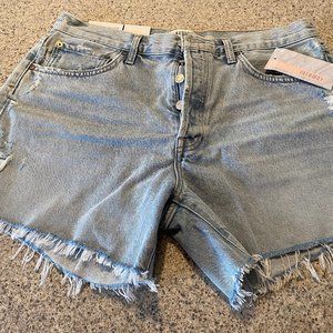 AGolde Parker Long Jean Shorts (Parade)